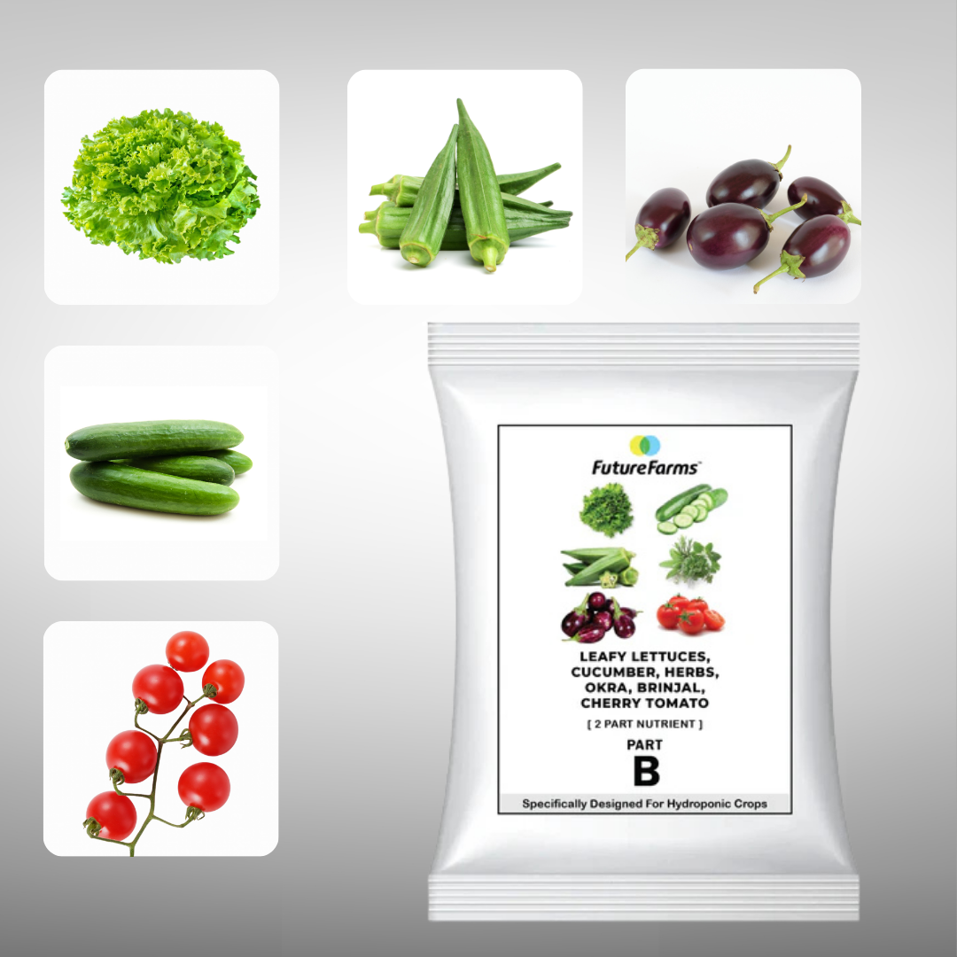 Future Farms Hydroponic Nutrients Powder for Leafy Lettuces, Herbs, Cucumber, Okra, Brinjal and Cherry Tomato