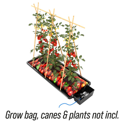 AutoPot Tray2Grow Set