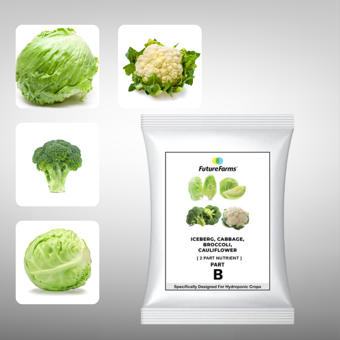 Future Farms Hydroponic Nutrients Powder for Iceberg, Cabbage, Broccoli and Cauliflower