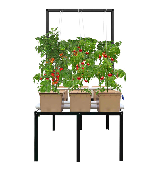 Hydroponic Vine Crop Grower 6 + Grower's Kit