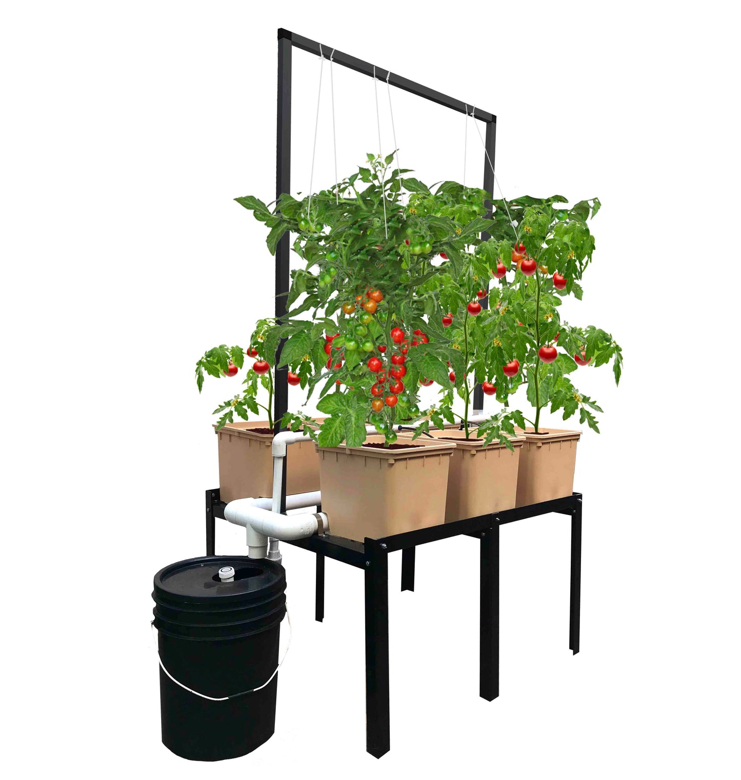 Hydroponic Vine Crop Grower 6 + Grower's Kit