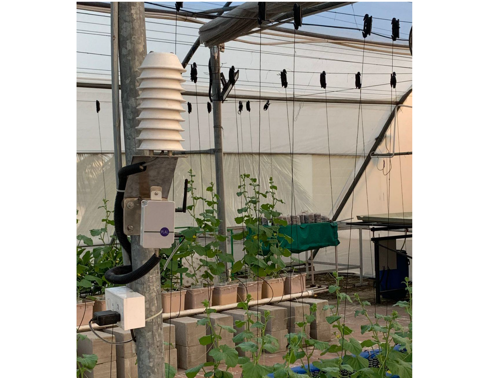 Hi-Tech Greenhouse IoT Climate Controller (Climate Sense)