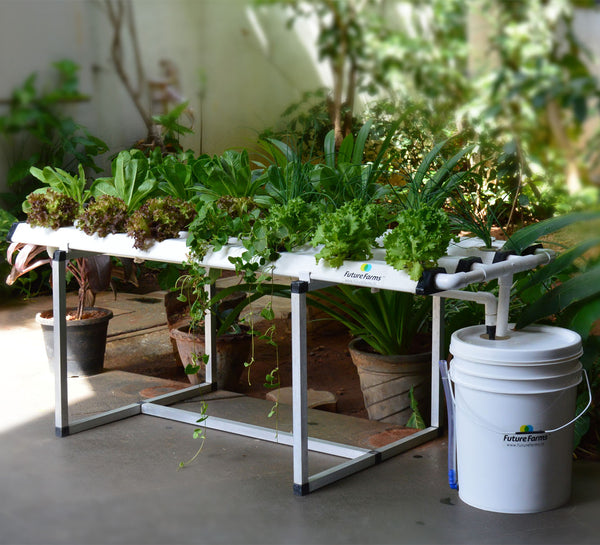 Hydroponic Leafy Grower 28