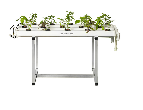 Leaf Station Neo Hydroponic System- DIY