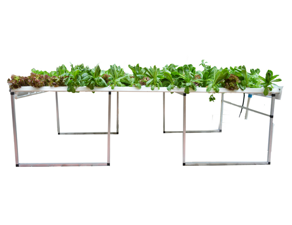 Leaf Station Pro Hydroponic System- DIY