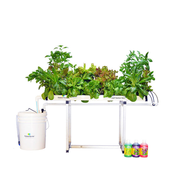 Hydroponic Leafy Grower 15 + Grower's Kit