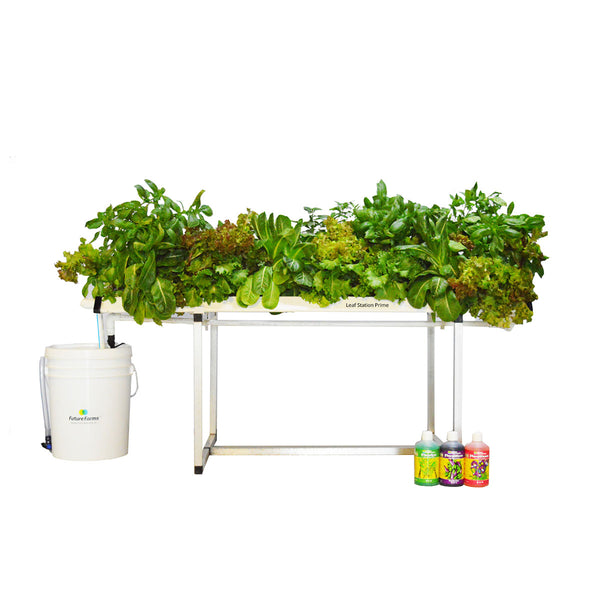 Hydroponic Leafy Grower 28