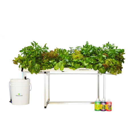 Hydroponic Leafy Grower 28