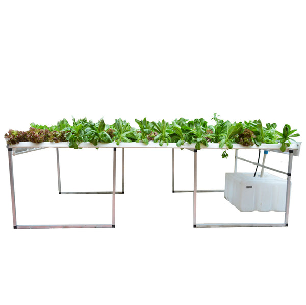 Hydroponic Leafy Grower 108 + Grower's Kit